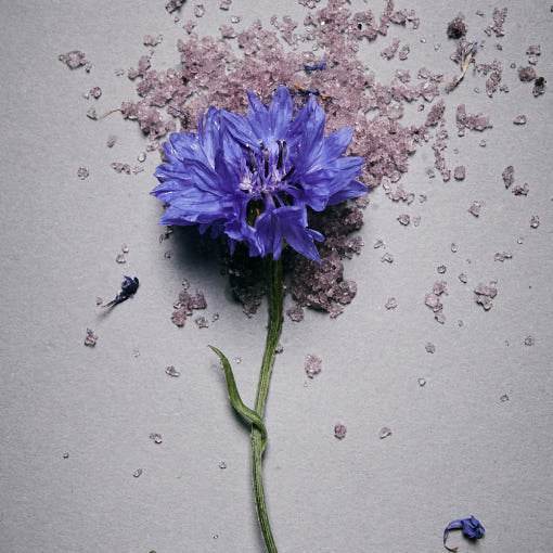 AROMATICA Serene Bath Salts Lavender & Marjoram 50g - Beauty Lab Perth