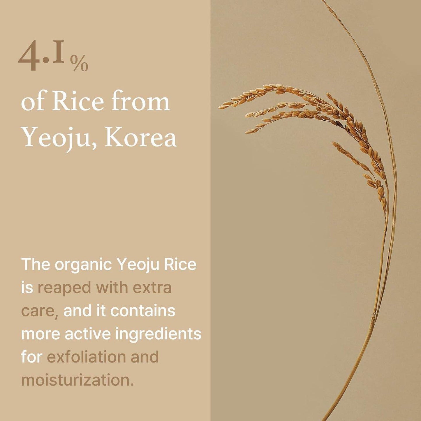 [ImFrom] Rice Mask 110g - Beauty Lab Perth