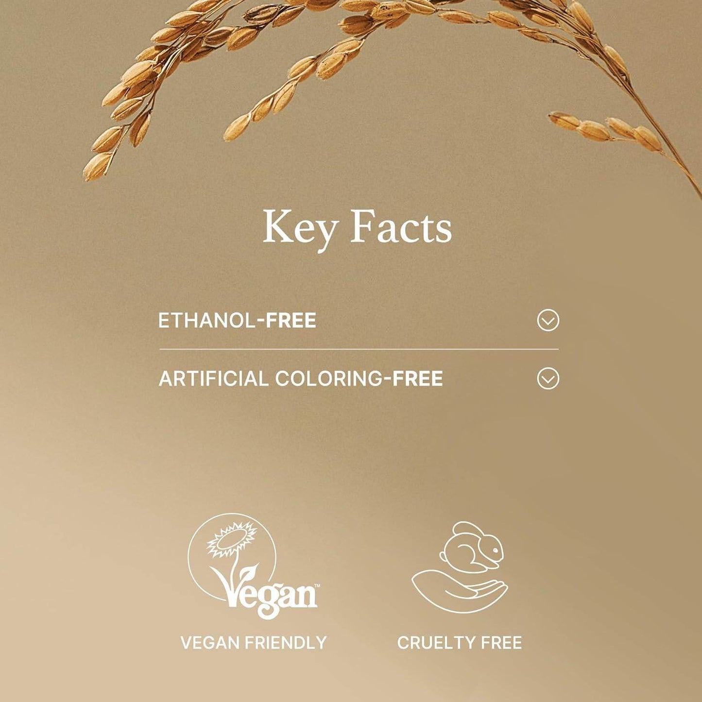 [ImFrom] Rice Mask 110g - Beauty Lab Perth