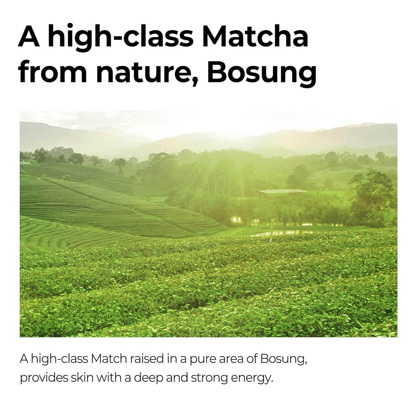 [SomeByMi] Super Matcha Pore Tightening Serum 50ml - Beauty Lab Perth