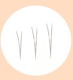 Fillimilli Point Piece Lashes (4,5,6MM) (90pcs) #Natural Under - Beauty Lab Perth
